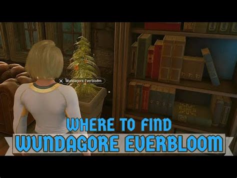 Wundagore Everbloom Possible Spawn Locations